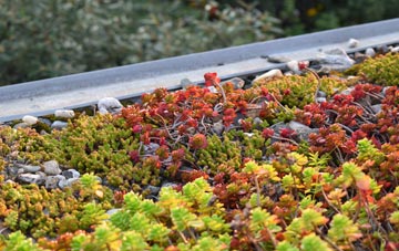 the cost of Five Oaks green roof installation